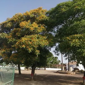 https://casa-de-frias-medronhal-faro.hotelaalgarve.com