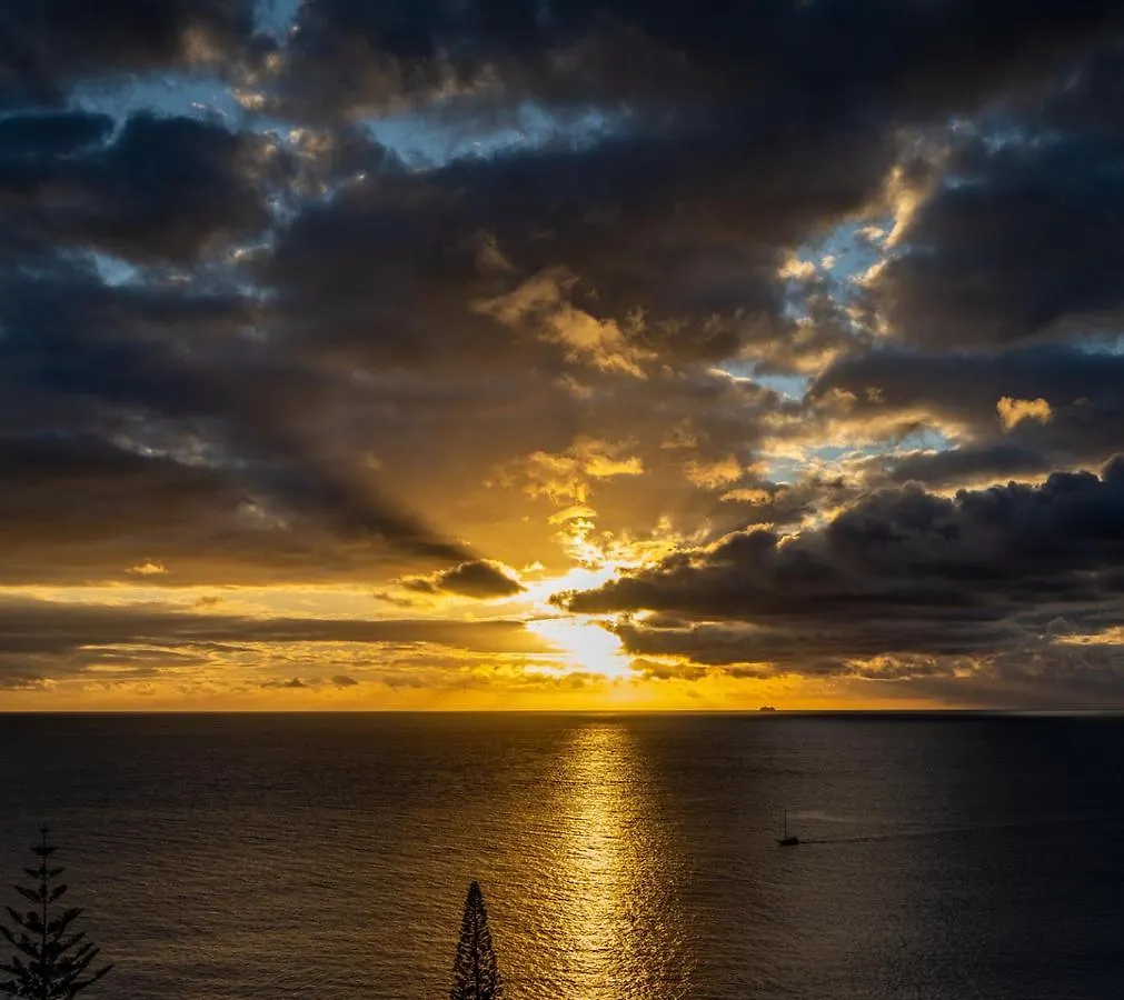 Shearwaters - Sounds Of The Sea Apartment Funchal  Portugal
