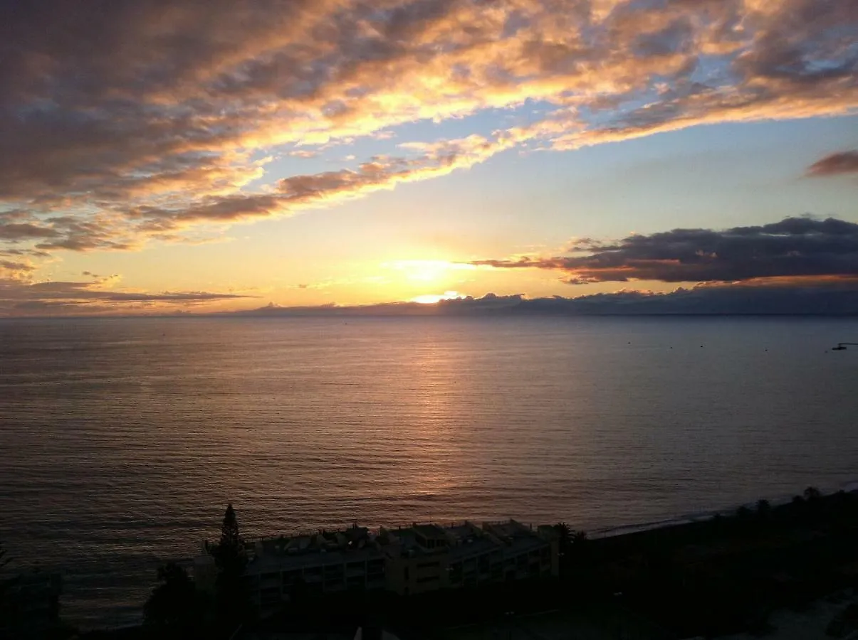 Shearwaters - Sounds Of The Sea location